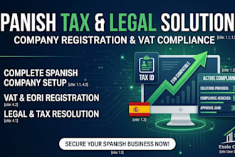 solve spanish tax and legal problems individuals and companies professionally