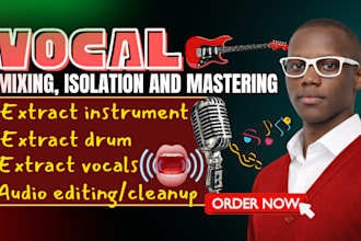 do vocal mixing and isolation from any song, create ringtone, remove instruments