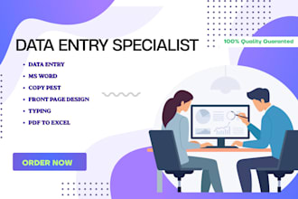 provide data entry and ms office services professionally