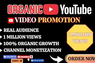 do organic youtube video promotion to gain 1 million views