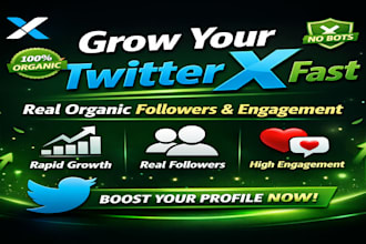 grow organic twitter x followers fast with targeted promotion
