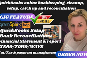 doquickbooks online bookkeeping, cleanup, catch up, setup as a quickbooks expert