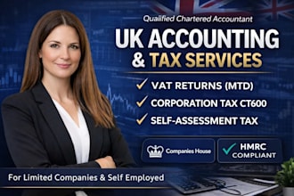 prepare UK annual accounts, corporation tax ct600 and UK vat return