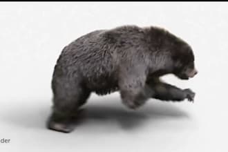 3d animal model animal design 3d animation