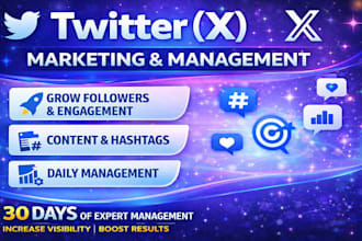 set up twitter x ads marketing campaign for real followers growth