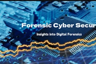 do web dev, data science, digital forensics, cybersecurity and tech ethics