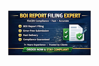 file boi report fincen filing for US llc fast and accurately