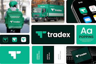 design a logo with brand guidelines, and a full brand book