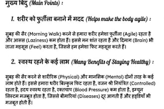 do professional hindi and hinglish content writing