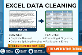 de duplicate, format and clean messy data sets professionally