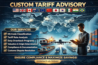 be your custom tariff advisory consultant for import export