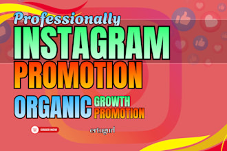 do instagram promotion and organic growth
