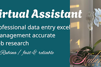 your virtual assistant for data entry and web research