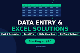 do data entry, excel spreadsheets and data cleaning