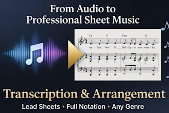 transcribe or arrange any song from audio to sheet lead music and notation chart