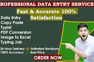 do fast and accurate data entry and typing excel work
