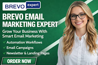 set up brevo email marketing, automation workflows and email campaigns