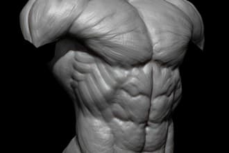 sculpt 3d realistic body