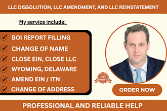 reinstate dissolve or amend usa llc, do llc amendment dissolution reinstatement