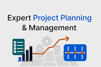 create a project plan as your project manager
