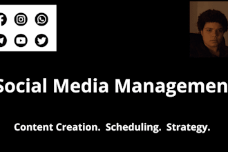 manage your social media with strategy, consistency and engaging content