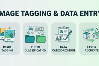professionally tag and categorize your image collections