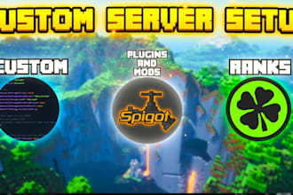 make you a professional minecraft server