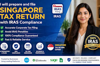prepare and file singapore tax return and convert financial statements into xbrl