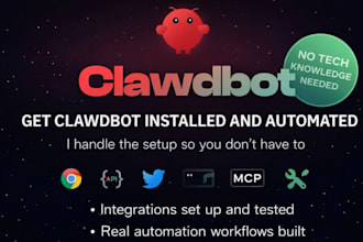 installed and setup openclaw and workflow professionally