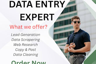 do professional data entry, web research, and copy paste tasks
