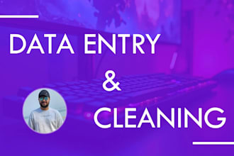 excel data entry and excel data cleaning, data cleanup