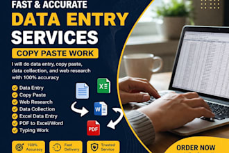 do fast and accurate data entry, copy paste, excel and typing work
