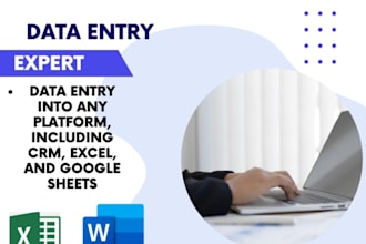 do professional data entry