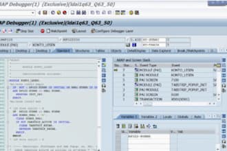 provide sap abap support debugging enhancements ricefw odata