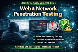 do web pentesting and system security assessment