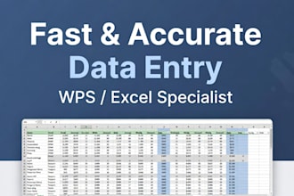 data processing and data entry, file conversion