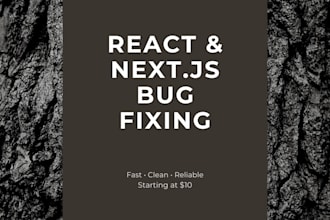 fix bugs in your react or nextjs application