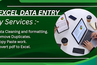 clean, format, merge, spilt excel data, excel basic formulas