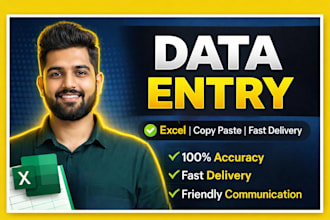 do fast and accurate data entry, excel work