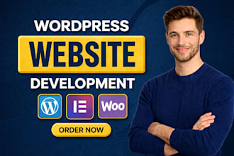 build a responsive wordpress ecommerce website,buisness website