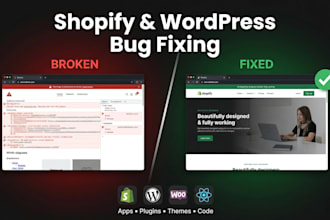 fix shopify errors and wordpress plugin conflicts