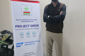 provide sap s4hana functional support for pp qm and pm modules