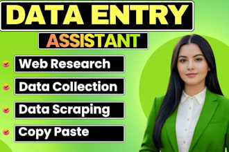 do data scraping, data mining, web research and data entry job