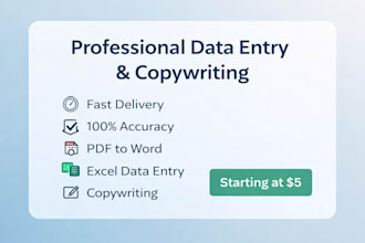 data entry and typing expert excel