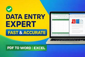 do fast data entry  excel work  copy paste  PDF to word and typing work