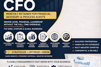 be outsourced cfo for financial advisory and process audits