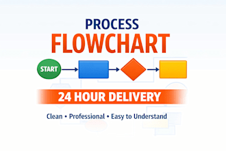 create a professional process flowchart in 24 hours