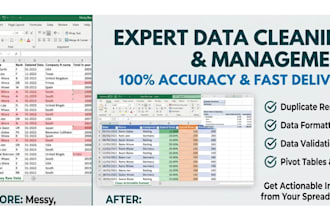 do professional data cleaning and excel data formatting