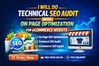 do technical SEO audit with on page optimization for ecommerce website