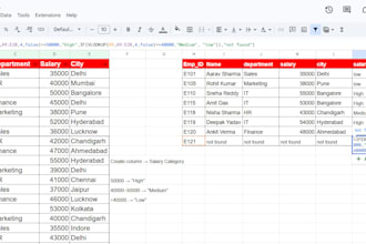 data cleaning , dashboards and data entry